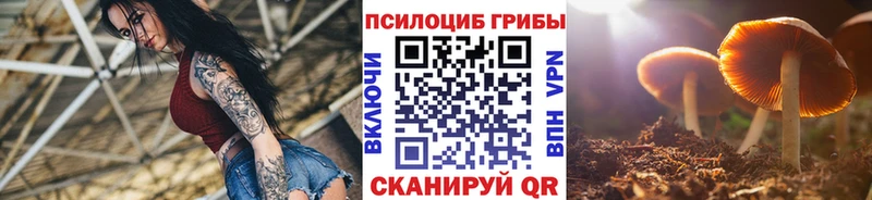 Псилоцибиновые грибы Psilocybine cubensis  Сергач 